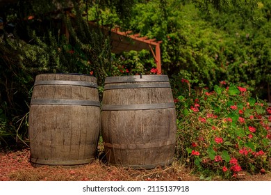 Wine Barrels In The Foreground In The Spring A Winery In Half Moon Bay, California, USA