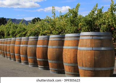 Wine Barrels In Napa, California, USA