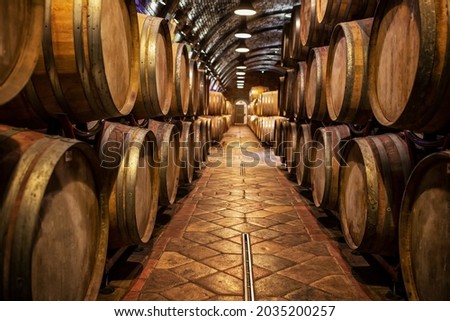 Wine barrels in wine-vaults in order Сток-фото © 