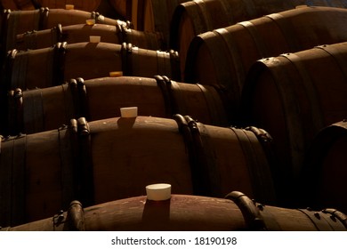 Wine Barrels In Wineyard Cellar, Piemonte, Italy