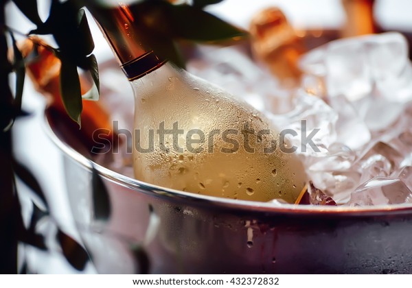 Wine bottle in ice\
bucket