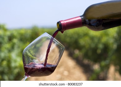 A wine bottle with a vineyard as background