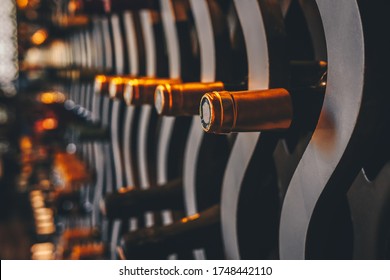 Wine bottles in the wine cellar. Upscale luxury food and beverage concept backdrop with place for text