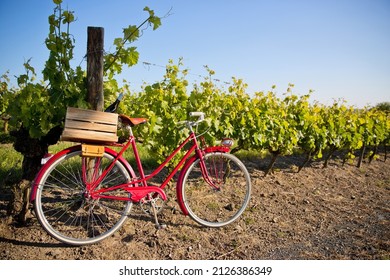 Wine bottles on the back of an old red bike in a wooden crate in the middle of the vines.