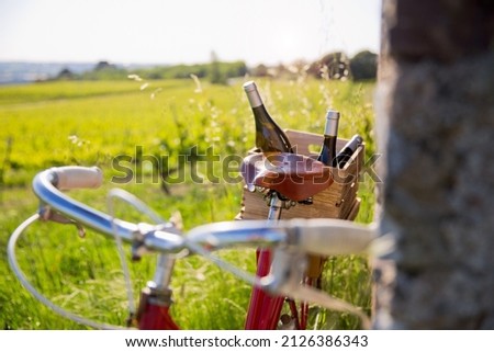 Wine bottles on the back of an old red bike in a wooden crate in the middle of the vines.