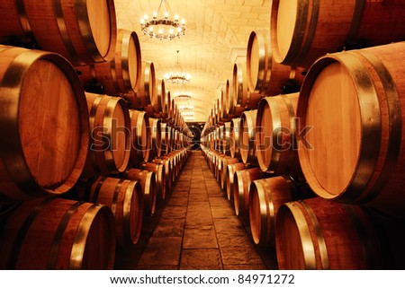 Wine cellar with barrels