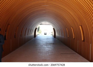 Wine Cellar For Cognac Production