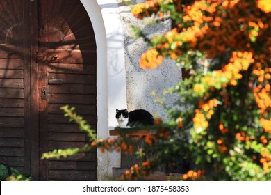 Wine Cellar Entrance With The Door Closed.