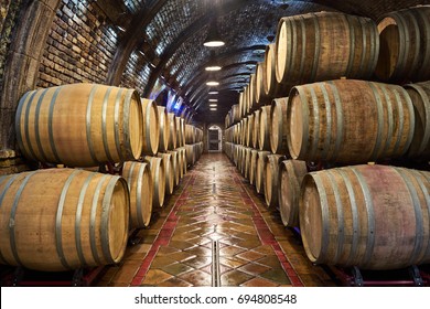 Wine cellar with a row of oak barrels                      
