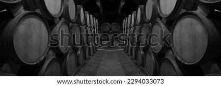Wine or cognac barrels in the cellar of the winery, Wooden wine barrels in perspective. wine vaults. modern, new oak barrels of craft beer or brandy