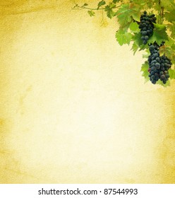Wine composition for vintage background. Grapes on the blank paper for the wine collage. Bunches of red grapes - grapevine at the grunge texture.