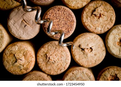 Wine corks of different sizes and a corkscrew standing upright on an old wooden surface. 