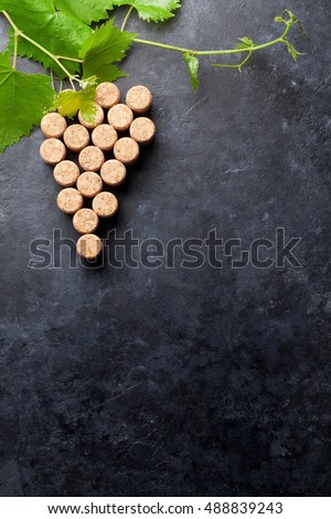 Similar – Image, Stock Photo Bottle cork as grapevine with vine leaf on a blackboard