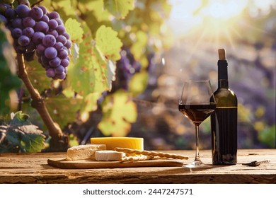 Wine culture and degustation. Bottle and glass with red wine, wooden board with different cheese with grape branches on background. Concept of winemaking, organic beverage, nature, traditions - Powered by Shutterstock