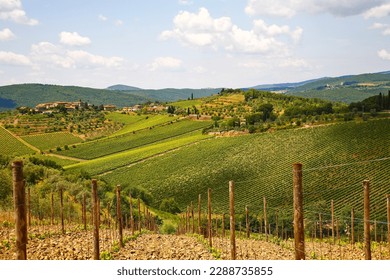 Wine factories of Chianti.Characteristic of this part of Tuscany is the fascinating succession of villages, vineyards and hills. Tuscany, Italy