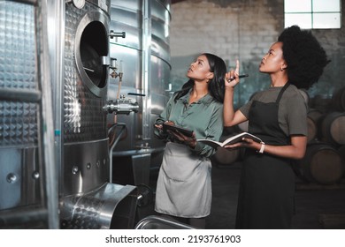 Wine, farming and distillery workers doing quality and sustainability checkup in alcohol manufacturing industry. Farmers or employees in production cellar warehouse or brewing factory business - Powered by Shutterstock