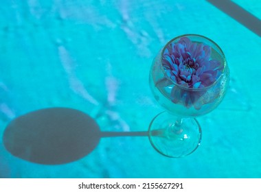 Wine Glass With A Chrysanthemum Flower Inside On A Concrete Background With A Blue Filter. 