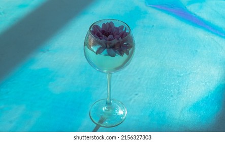 Wine Glass With A Chrysanthemum Flower Inside On A Concrete Background With A Blue Filter. 