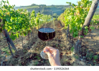 Wine Glass In Hand Of Drinker And Landscape Of Tuscany, With Green Valley Of Grapes. Wine Beverage Tasting In Italy During Harvest.