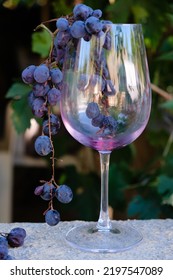 Wine Glass With Wine Sediment And A Bunch Of Blue Grapes.