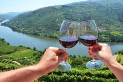 Bicchieri Da Vino Contro I Vigneti Nella Valle Del Douro, Portogallo