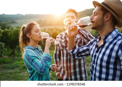 Wine Growers Tasting Wine In Vineyard