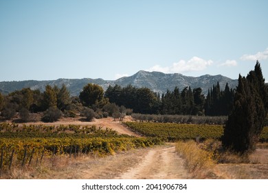 Wine Hills Around Maussane Les Alpilles