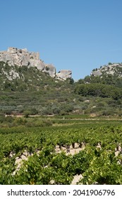 Wine Hills Around Maussane Les Alpilles