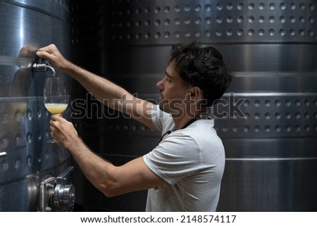Wine making industry. Portrait of a young man filling a cup of glass with Chardonnay grapes white wine during the process of fermentation, directly from the metal tank. 