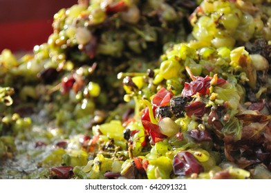 Wine making process - pressed grapes by wine grape machine centrifuge