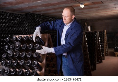 Wine producer controlling wine aging in bottles on wooden racks in winery vault