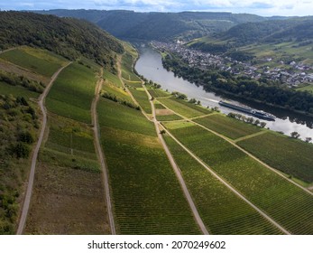 Wine Region At The Moselle River With Cruise Ship