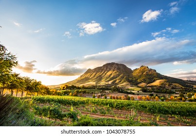 Wine region near Stellenbosch looking at Simonsberg in South Africa