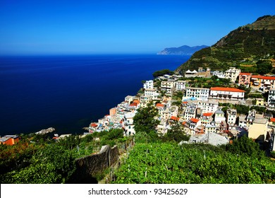 Wine In Riomaggiore Village, Cinque Terre, Italy