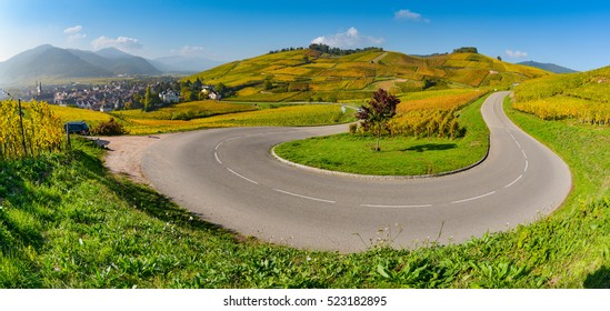 Wine Road, Vineyards Of Alsace In France, Europe