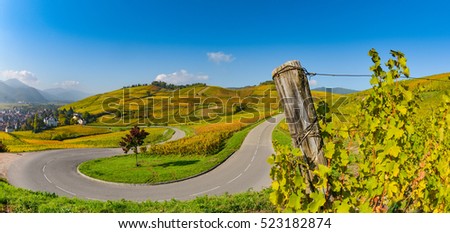 Wine Road, Vineyards of Alsace in France, Europe