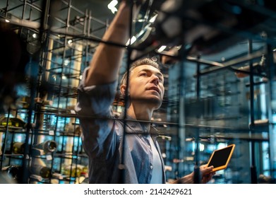 A Wine Store Owner Making A Revision And Looking Busy