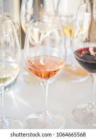 Wine tasting in Alentejo region, Portugal. - Shutterstock ID 1064665568