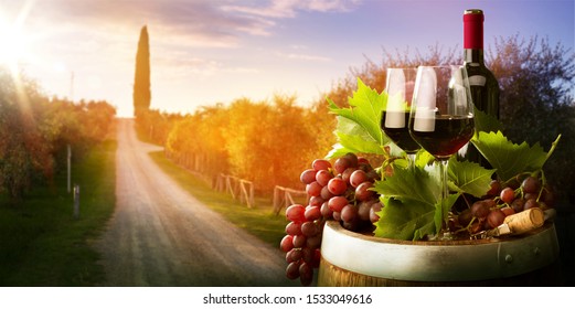 wine tasting concept; autumn countryside wine background; vine, red wine bottles, wineglass, wine barrel; 