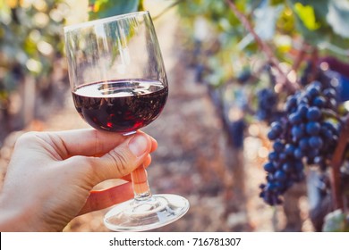 Wine Tasting, Degustation, Hand Holding A Glass In Wineyard