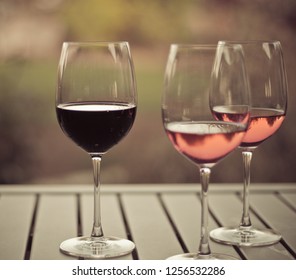 Wine Tasting Glass at Vineyard Winery Romantic 