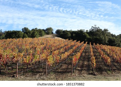 Wine Tasting In Healdsburg, Sonoma County, CA.