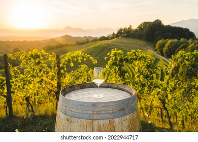 Wine tasting in Italy, glass of white wine on wooden wine barrel in the vineyards at sunset