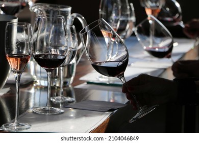 Wine Tasting In Mendoza, Argentina