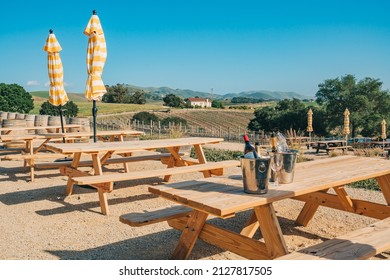 Wine Tasting. Vineyard And Winery In San Luis Obispo County, California Central Coast