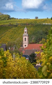 Wine village Riquewihr, alsace, in autumnal vineyards