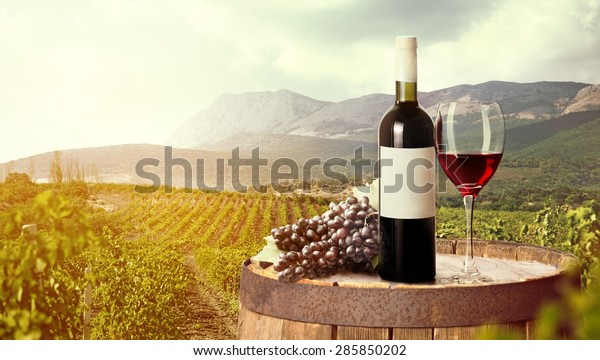 Wine, vineyard,\
glass.