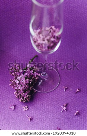 Wineglass with lilac flowers  on violet background