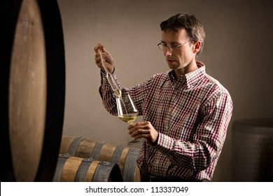Winemaker In Cellar Taking Sample Of White Wine From Barrel For Wine Tasting.