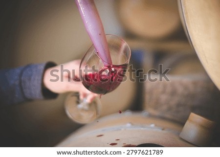 A winemaker draws a sample of red wine from an oak barrel into a stemmed tasting glass using a wine thief, set in a winery cellar environment in the Western Cape, South Africa.